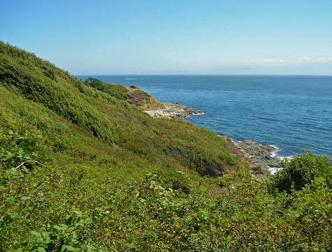 Seaside of Ireland